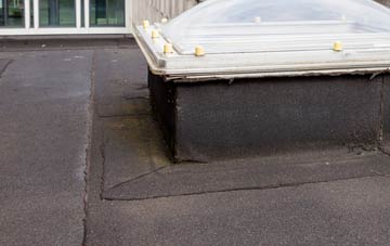 disadvantages of Meyrick Park flat roofs