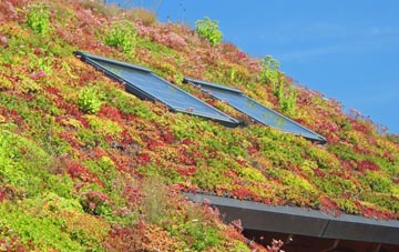 Meyrick Park living roof systems