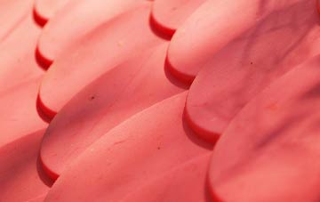 Meyrick Park plastic roof costs